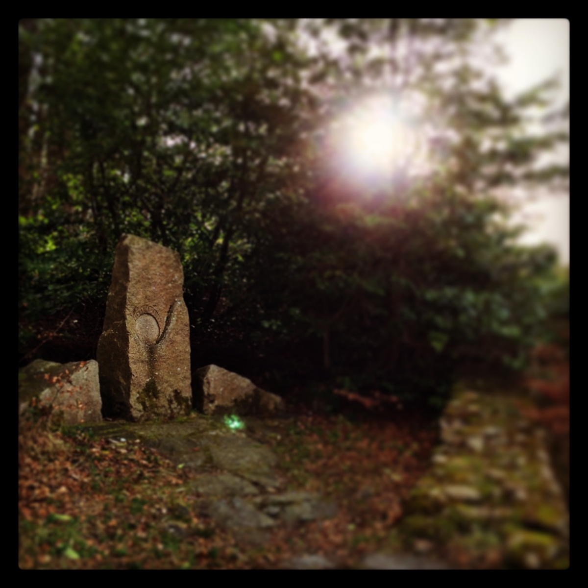 Stone at Castlewellan, Northern Ireland